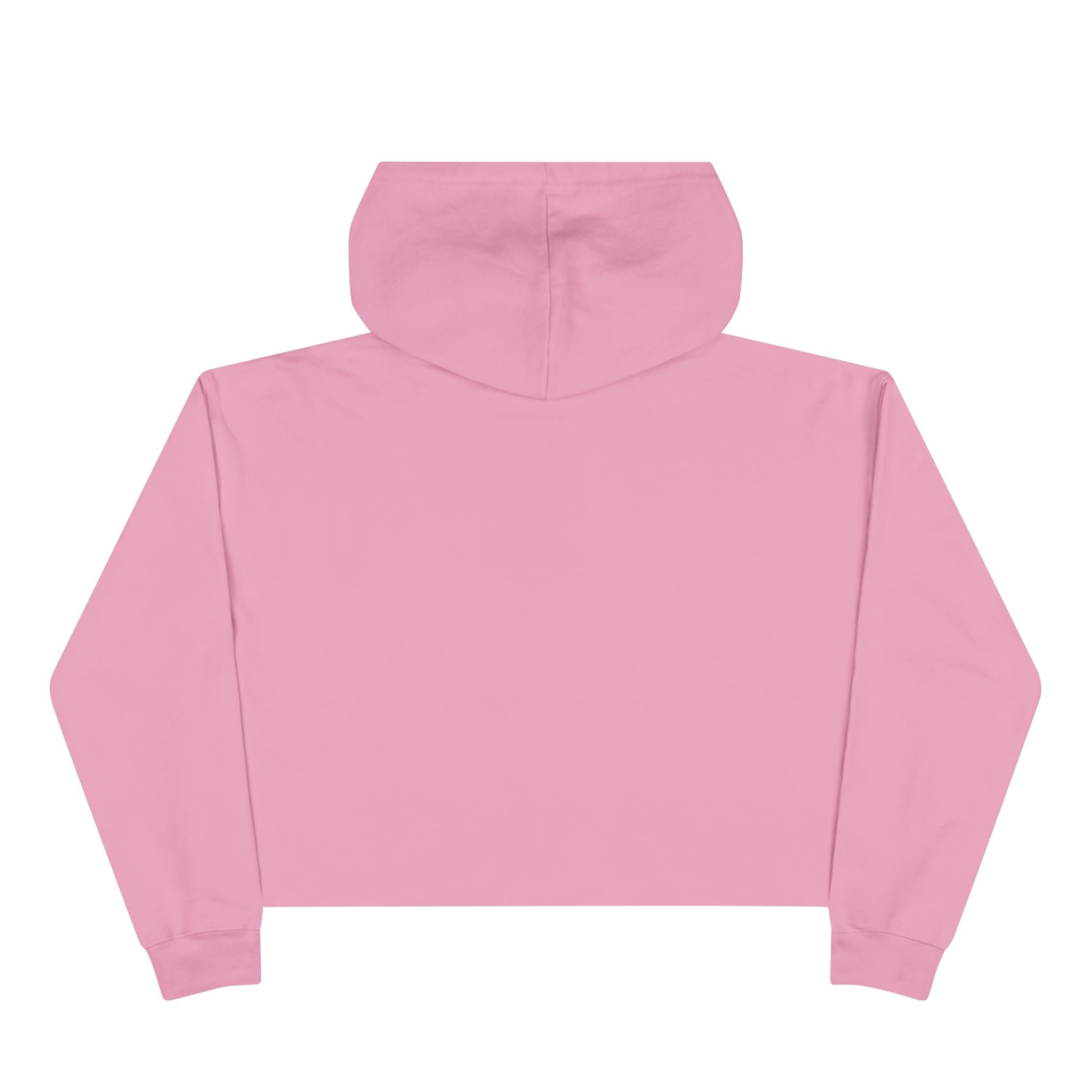 Tiny But Mighty Chihuahua Crop Hoodie